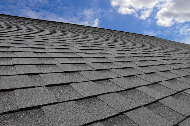 Best Flat Roofing  in Park Forest, IL